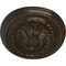 Ekena Millwork Saverne Ceiling Medallion, Hand-Painted Stone Hearth Crackle, 18 1/2"W x 13 1/2"H x 1 7/8"P CM18SASHC - alternate 2